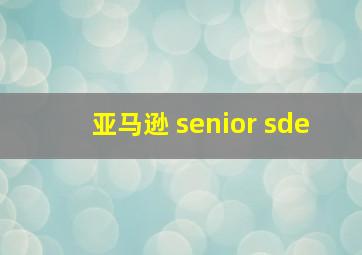 亚马逊 senior sde